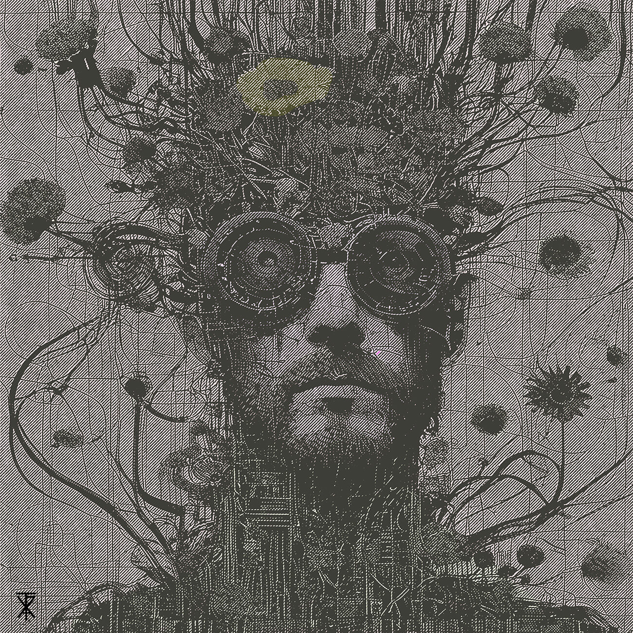 The Self View